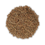 Anise Seed