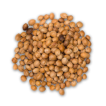 Cherry Kernel