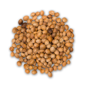 Cherry Kernel Oil - Image 2