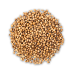 Coriander Seeds