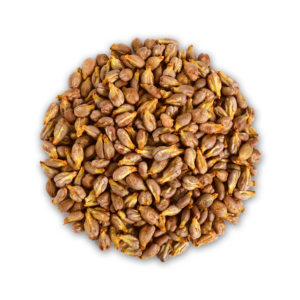 Grapeseed Oil - Image 2