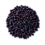 Juniper Berries