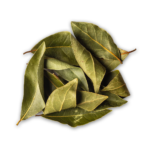Laurel Leaves