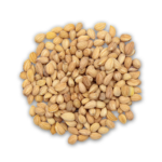 Mahlep Seeds