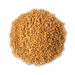 Mustard Seed
