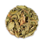 Myrtle Leaves