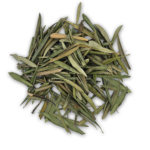 Olive Leaves