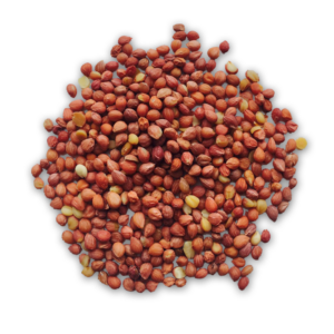 Sour Cherry Kernel Oil - Image 2