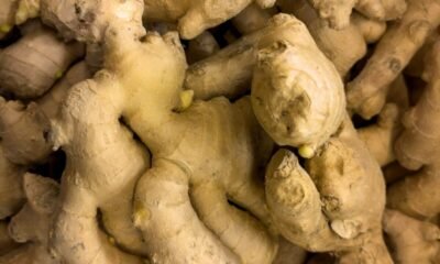 Ginger Extract_5 perc Ginger Extract 5%