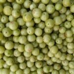 Amla Extract – Branded