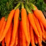 Beta Carotene 10% WS