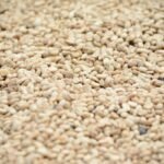 Fenugreek Extract 50%