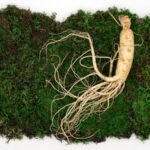 Ginseng Extract – Branded