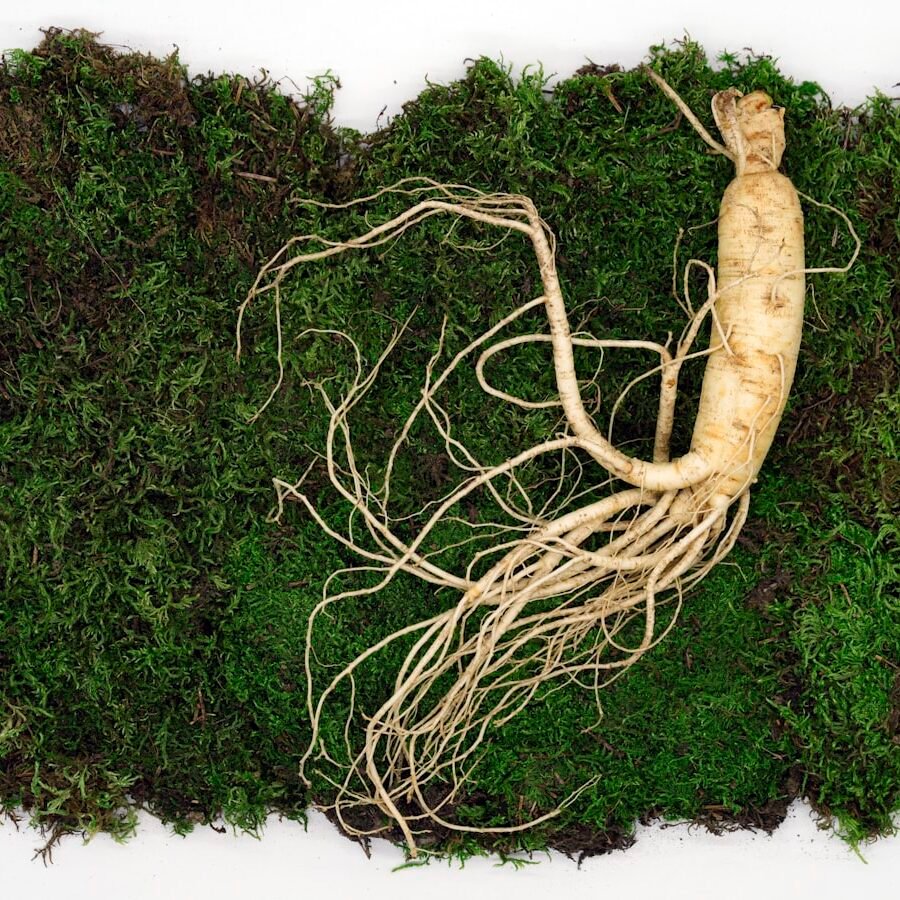 Photo: Bencaoquan / Unsplash Ginseng Extract – Branded - Image 1