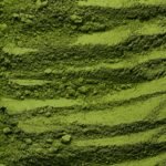 Bacopa Extract 20%