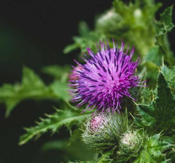 Photo: Matt Seymour / Unsplash Photo: Matt Seymour / Unsplash