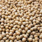 Soy Protein Isolate 90%