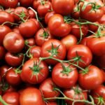 Lycopene Extract 5-10% (WS)