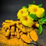Curcumin Extract (WS) – Branded