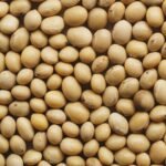 White Kidney Bean Extract 8000-20000 U (WS)